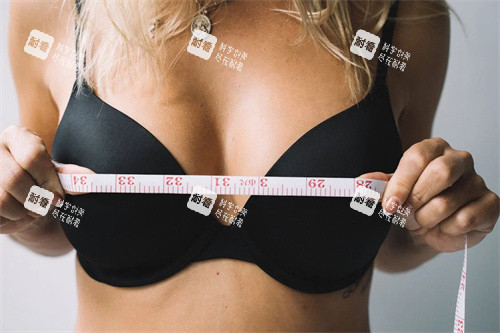 胸部整形展示图