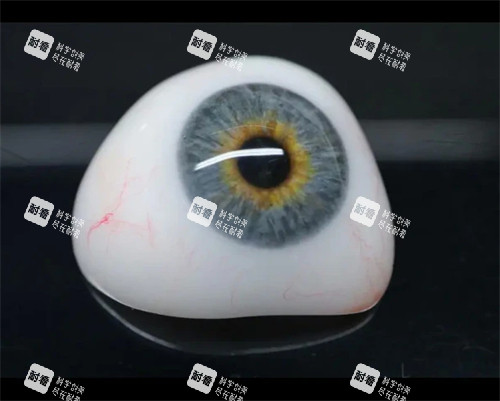 义眼展示图