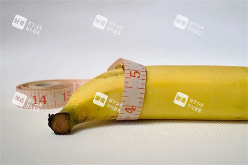 阴茎细香蕉展示图