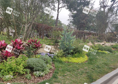 成都东篱整形医院医院环境环境一览图 成都东篱整形医院医院环境环境一览图