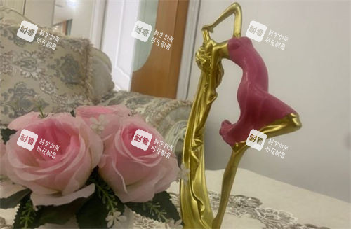 上海丽质院内桌面陈设图 上海丽质院内桌面陈设图