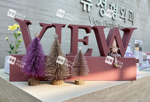 韩国必妩整形LOGO摆件示意图