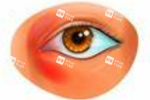 OIP-C (15)_副本3 OIP-C (15)_副本3