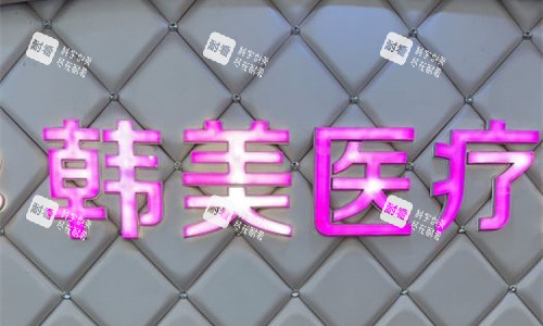 泸州韩美整形logo图