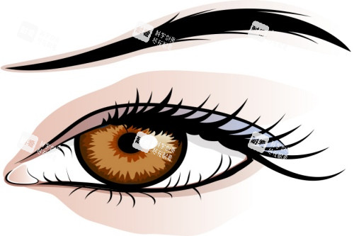 倒睫示意图