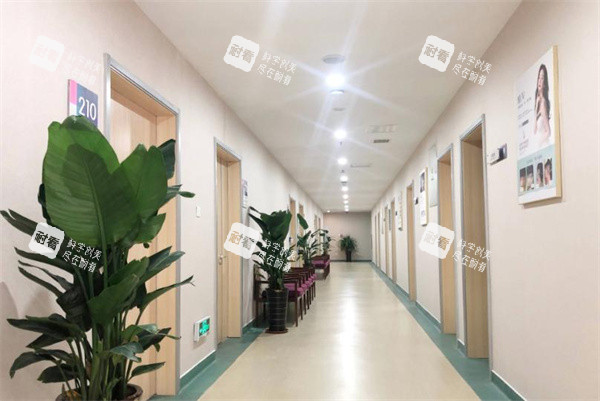 青岛建中植发的走廊