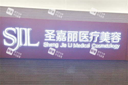 九江圣嘉丽医疗美容logo