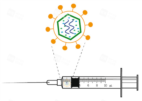 注射的不明注射物 注射的不明注射物