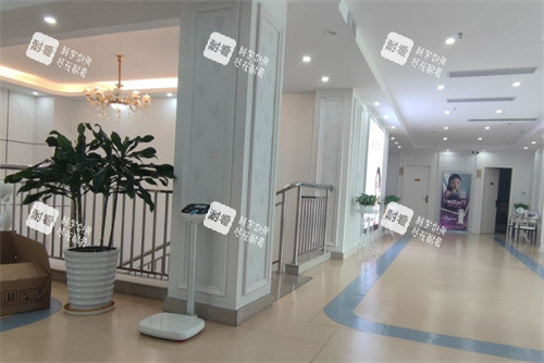 东莞维多利亚整形环境一角 东莞维多利亚整形环境一角