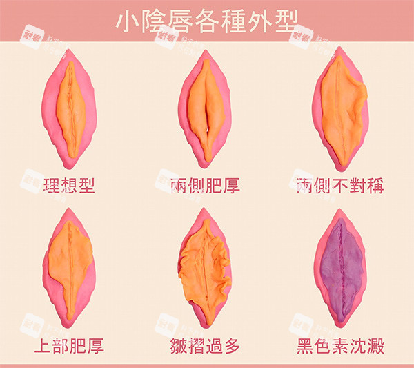 不同女性私密阴唇照片