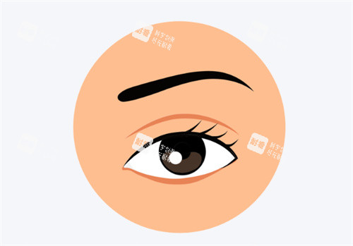 双眼皮卡通图片展示 双眼皮卡通图片展示