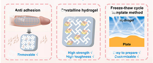 生物补片增大增粗照片