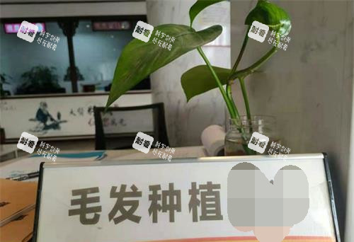 重庆华肤植发导医台