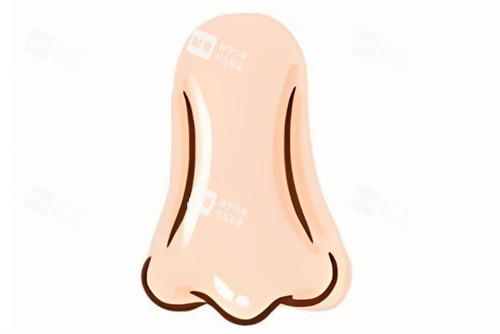 鼻子的卡通图片 鼻子的卡通图片