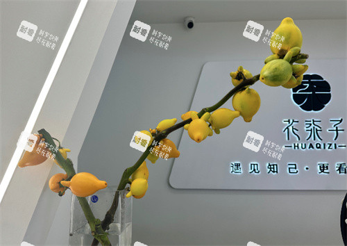 无锡花柒子医疗美容