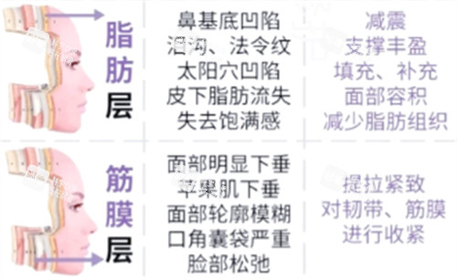 筋膜层抗衰重点