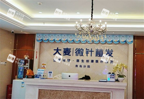 青岛大麦植发前台环境图 青岛大麦植发前台环境图