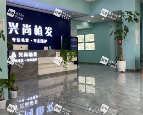 青岛兴尚植发前台图片 青岛兴尚植发前台图片