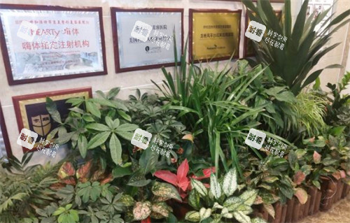 呼和浩特京美整形荣誉墙环境图 呼和浩特京美整形荣誉墙环境图