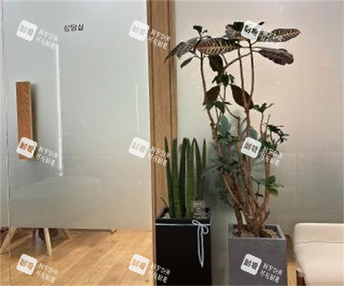 韩国MULY整形室内一角 韩国MULY整形室内一角