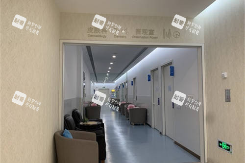 上海百达丽医疗美容门诊部走廊