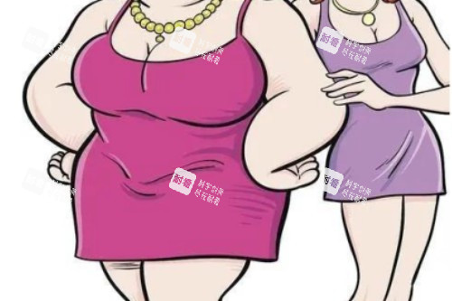 脂肪多脂肪少卡通对比图
