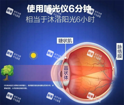 哺光仪原理解析