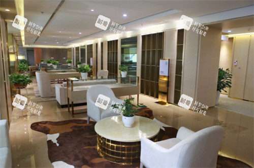 成都华美紫馨休息区一角一览图 成都华美紫馨休息区一角一览图