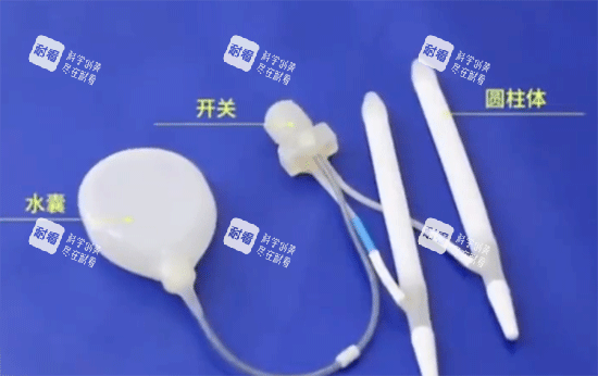 男性假体三件套示意图