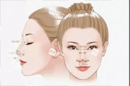 幼态脸需要整形的部位 幼态脸需要整形的部位