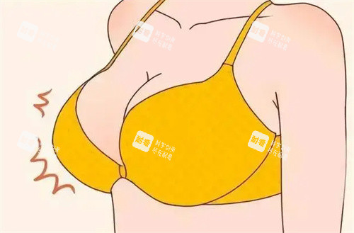 隆胸效果卡通图片