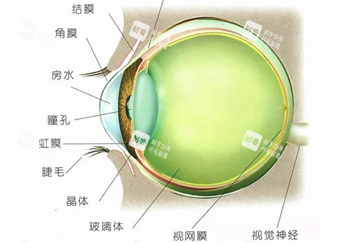 河北省二院眼科挂号指南！手把手教你14天内抢到医师号，线上/线下双渠道攻略全公开！