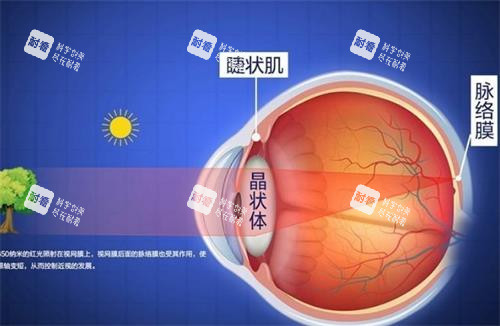 哺光仪的作用 哺光仪的作用