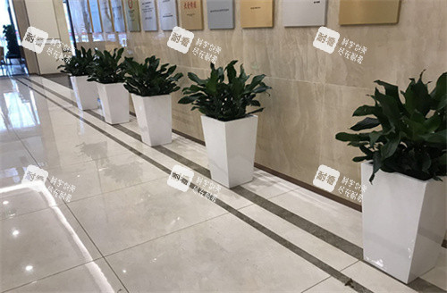 烟台壹美天成整形环境 烟台壹美天成整形环境