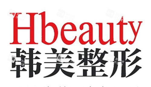 枣庄韩美整形logo图片
