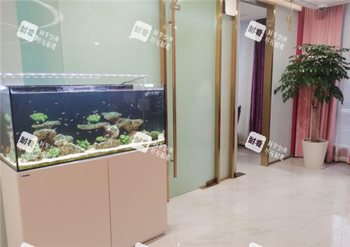 上海联合丽格整形环境