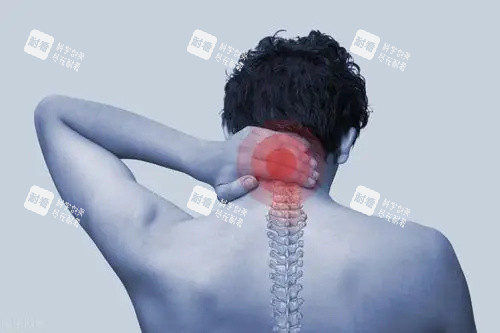 脊椎压迫神经的动画展示图