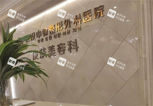 武汉中翰整形logo图