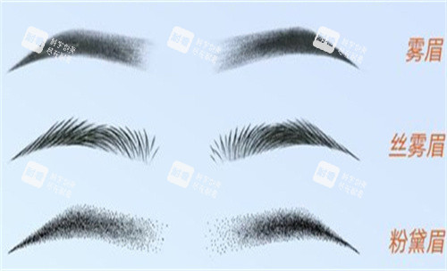 眉毛的各种形态