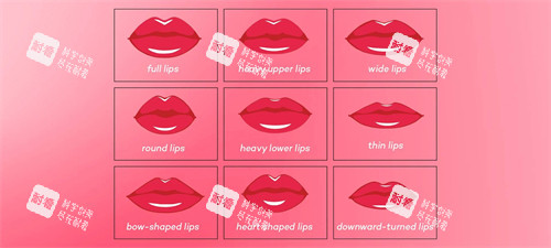 不同唇型示意图 不同唇型示意图