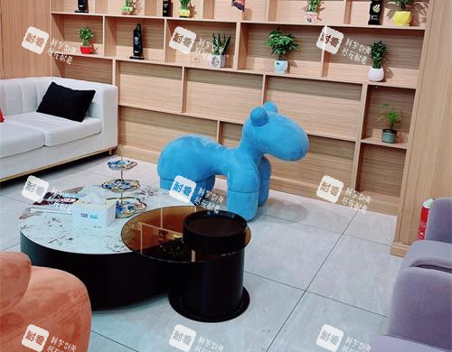 长春碧莲盛植发休息区环境