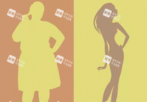 全身吸脂前后对比卡通示意图 全身吸脂前后对比卡通示意图
