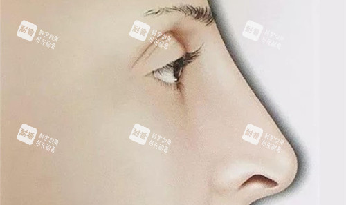 高鼻梁卡通图 高鼻梁卡通图