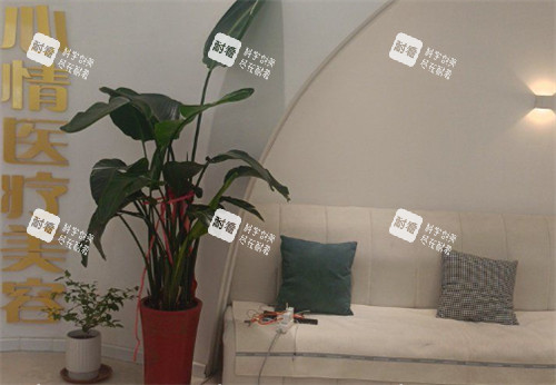 威海美丽心情医疗美容休息区