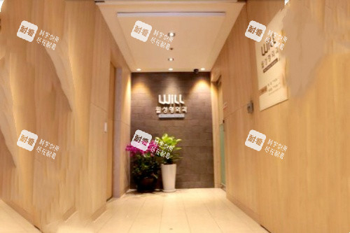 韩国WILL整形外科logo