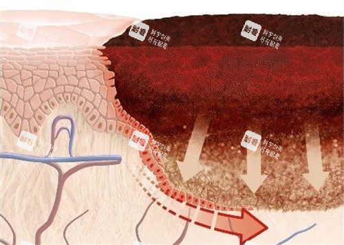 健康皮肤科和疤痕