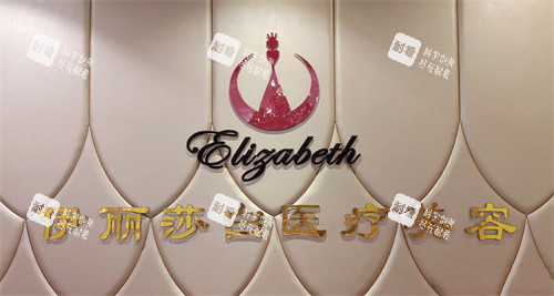 汕头伊丽莎白医疗美容logo