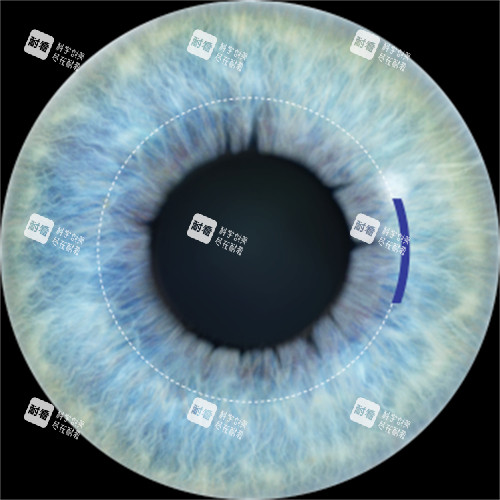 河南省立眼科医院官方挂号预约平台使用指南：告别排队轻松就医，挂号全流程+医师号攻略