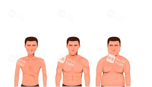 男性乳房肥大示意图