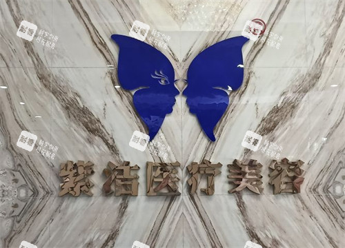 赤峰叶子医疗美容logo图片